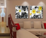 客厅无框现代装饰画欧式花卉装饰画 两联画 PF-54
